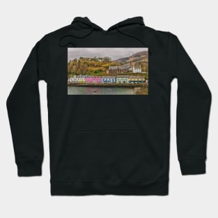 Portree Harbour Hoodie